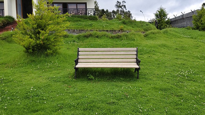Aakran Cottage garden bench surrounded by greenery