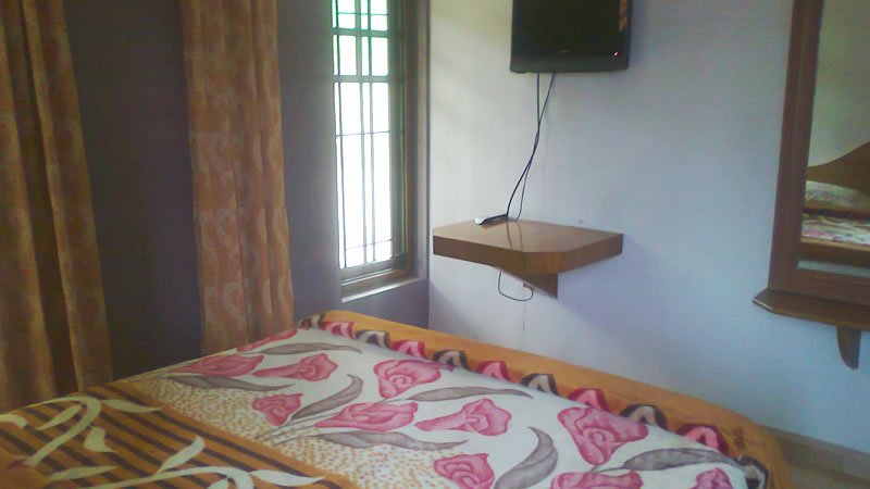 Cozy bedroom with TV