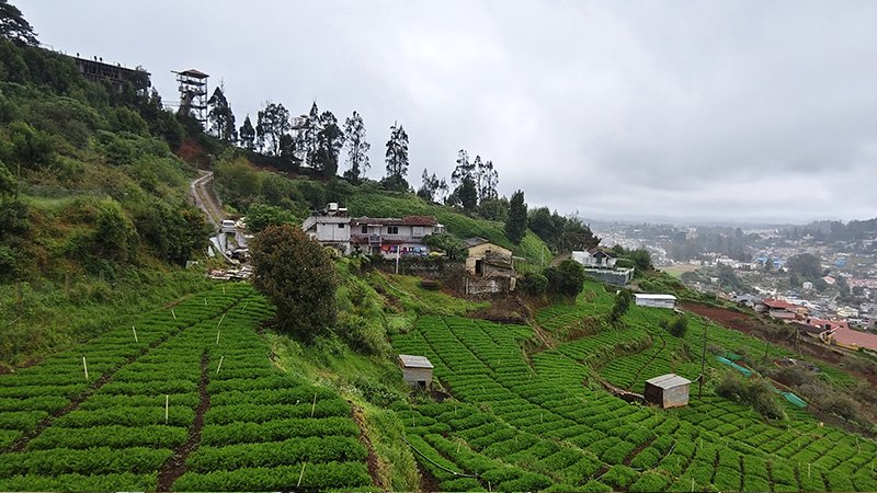Beautiful hillside view of green fields and houses