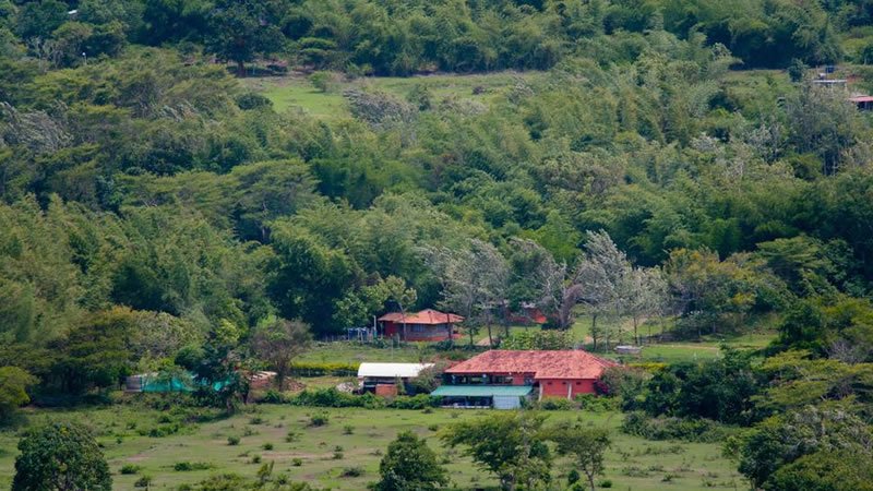 Secluded nature retreat surrounded by dense green hills and trees