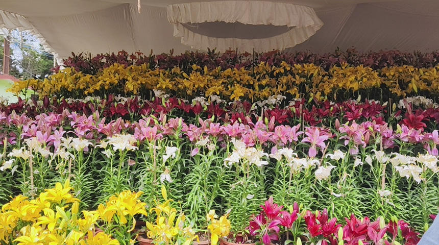 Botanical garden flowr show 1