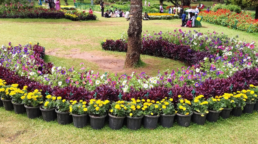 Botanical garden flowr show 10