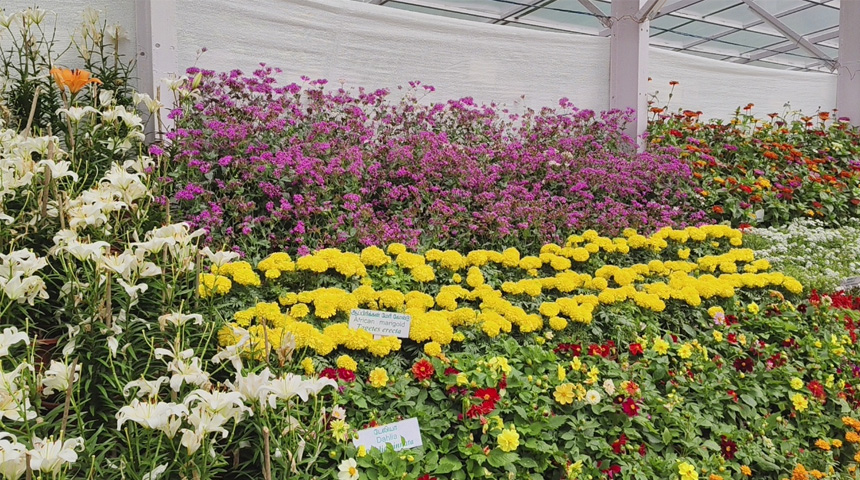 Botanical garden flowr show 2