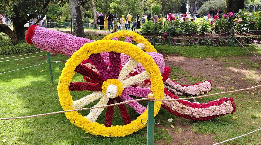 Botanical garden flowr show 7