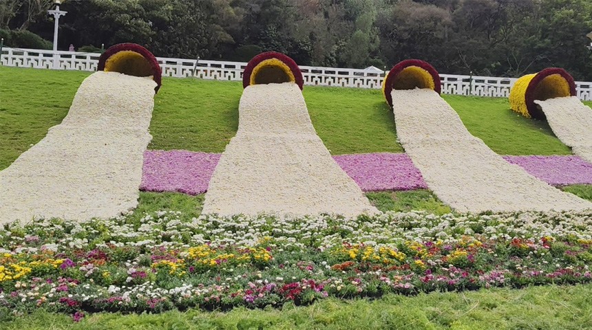 Botanical garden flowr show 9