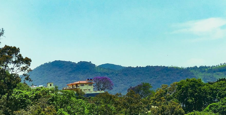 hotel-view