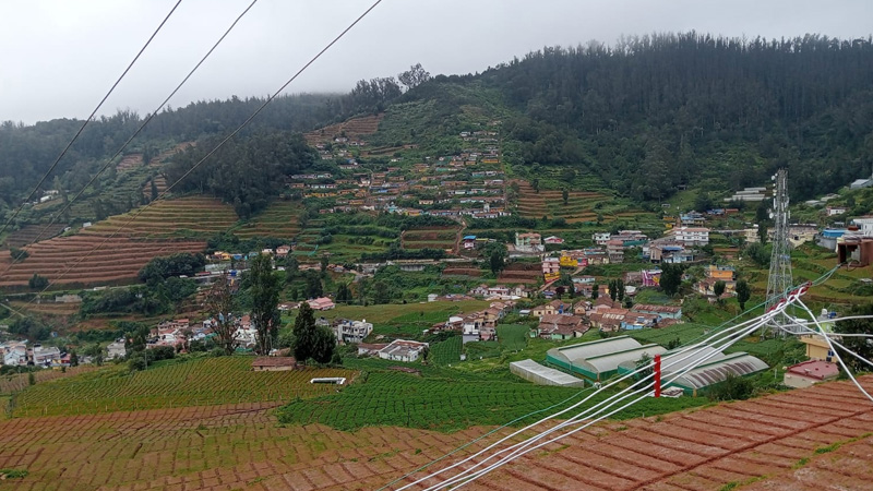 View Point