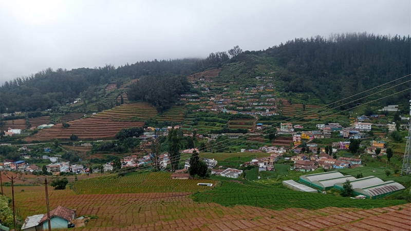 View From Bedroom