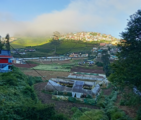Lovedale Ooty with scenic green hills, hillside cottages, and mountain views