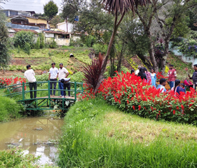 Ooty Botanical Garden with visitors walking among colorful flowers and greenery