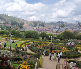 Ooty Government Rose Garden with colorful flower beds and visitors