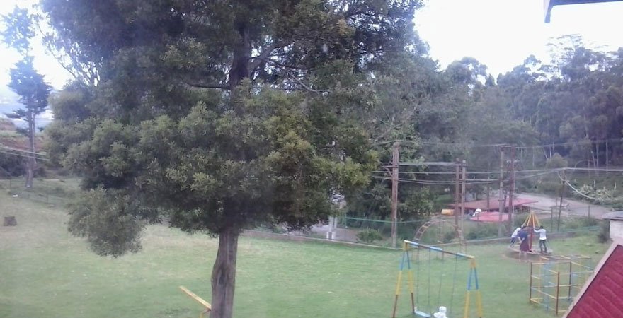 park