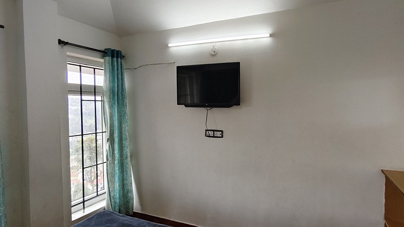 TV