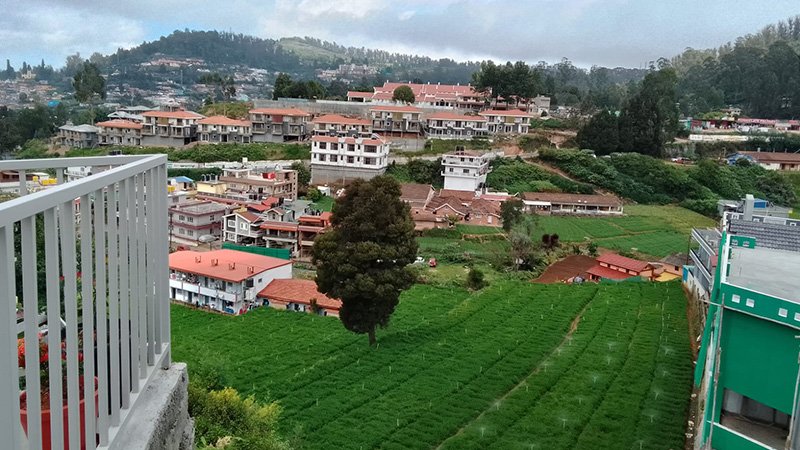 view