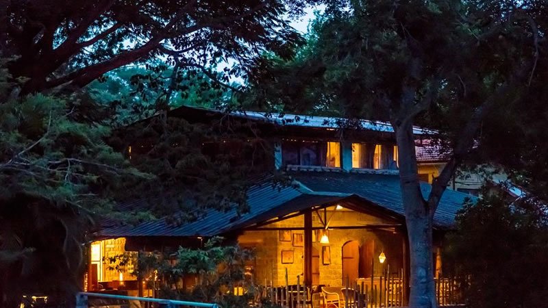 Forest retreat illuminated in the evening and surrounded by large trees