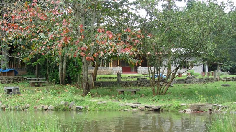 Peaceful garden pond surrounded by trees, greenery and holiday accommodation