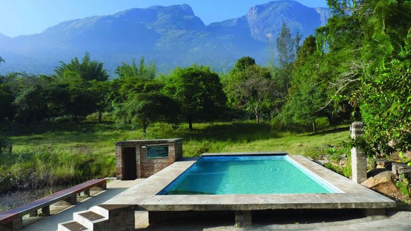 Outdoor swimming pool surrounded by lush greenery with mountain views in the background