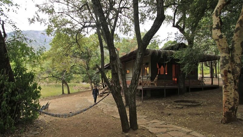 Rustic holiday home among mature trees with a hammock and natural outdoor area