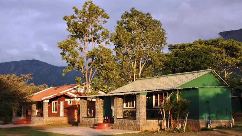 Holiday homes surrounded by mature trees with mountains visible in the background