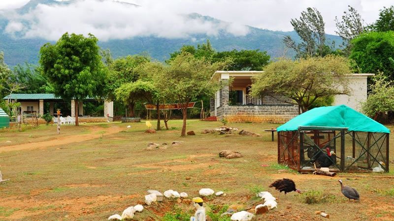 Spacious natural grounds with trees, small buildings and mist-covered mountains behind