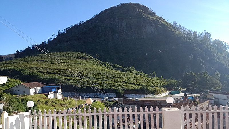 View From Cottage