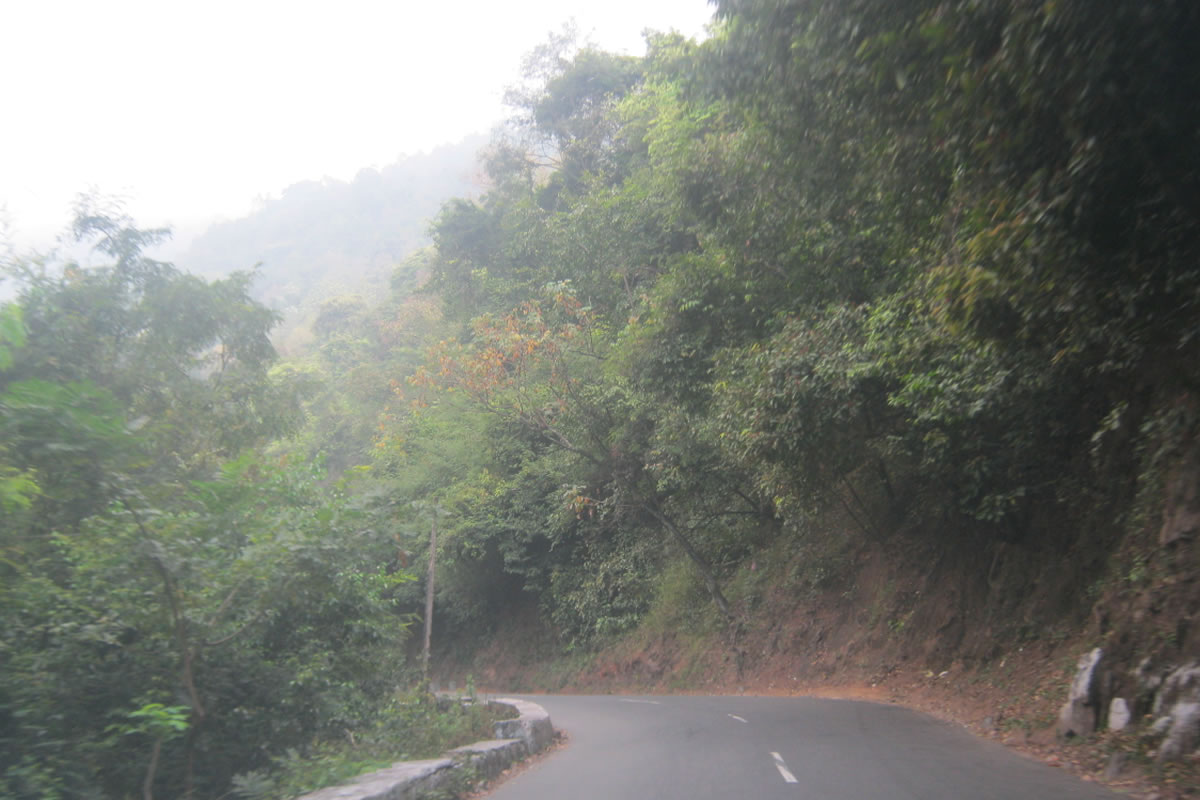 Ooty Road