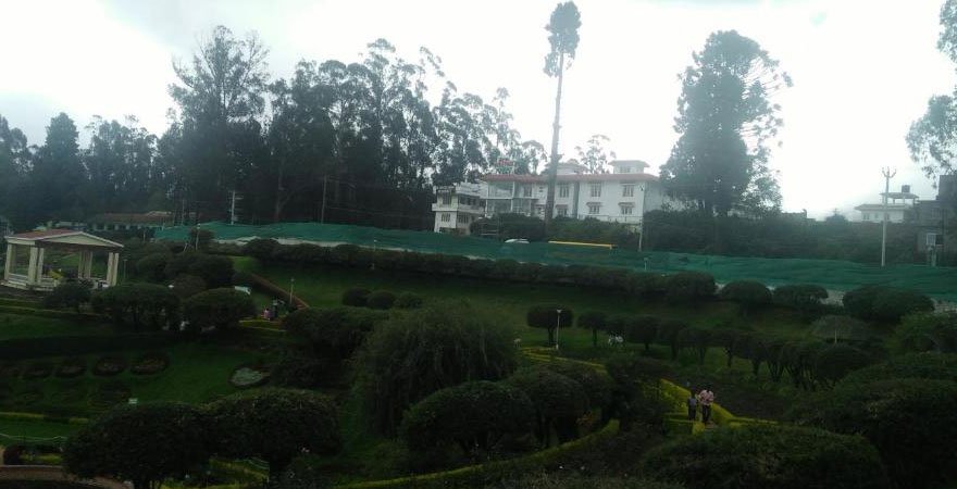 garden-view