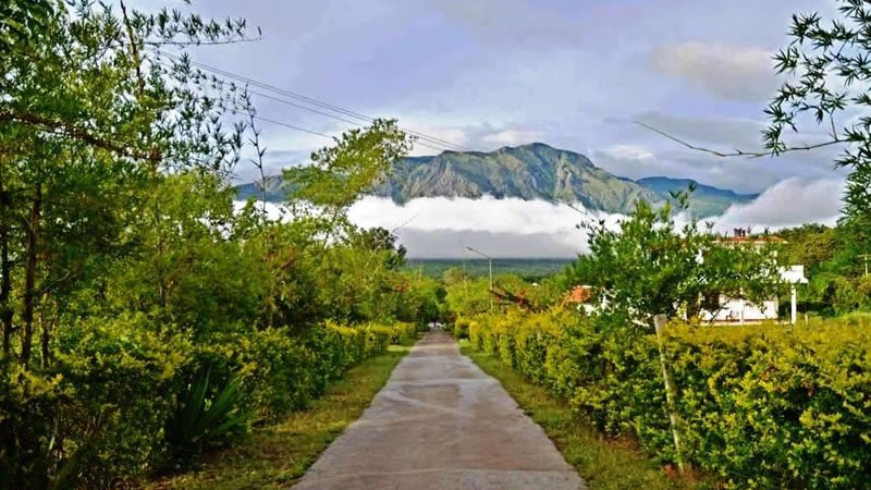 Garden road leading through a hillside resort with mist-covered mountains in the distance