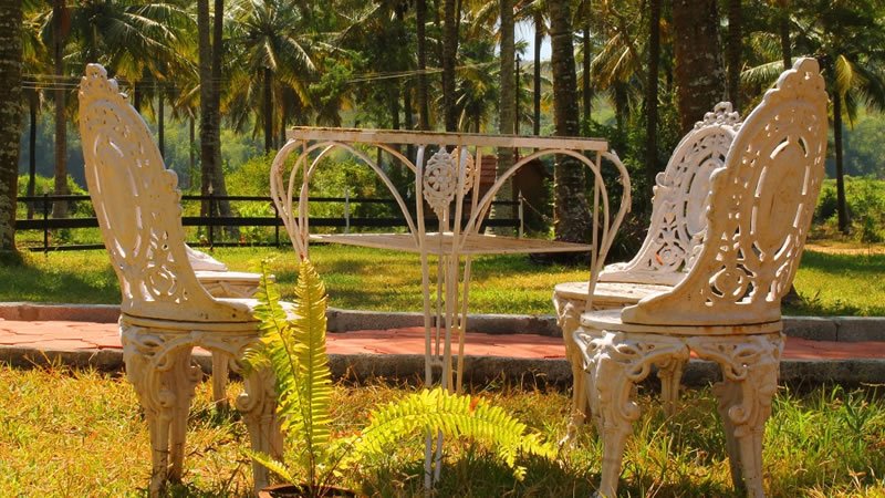 Decorative outdoor table and chairs in a garden surrounded by palm trees
