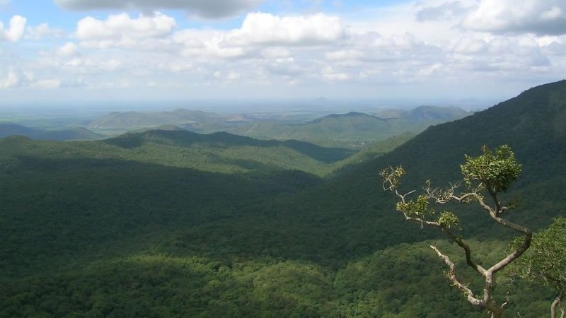 Panoramic view of lush green mountains and forest valley beneath a cloudy sky