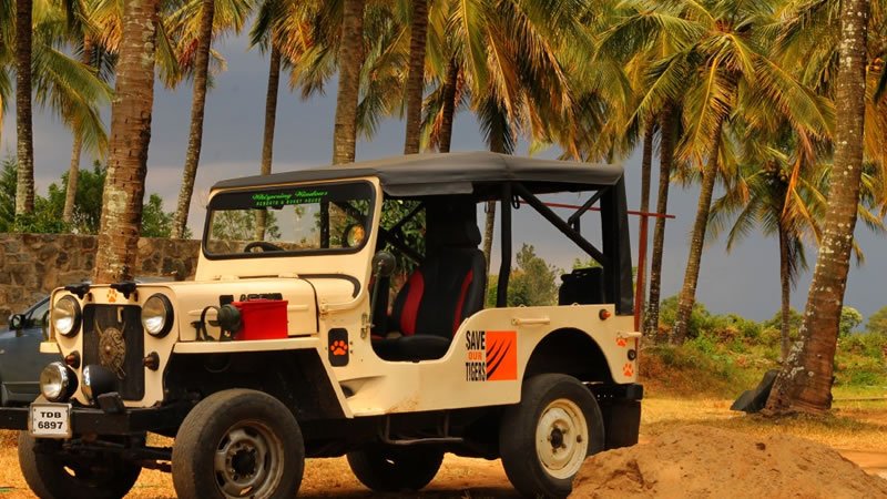 Off-road jeep parked among coconut palm trees in a tropical landscape