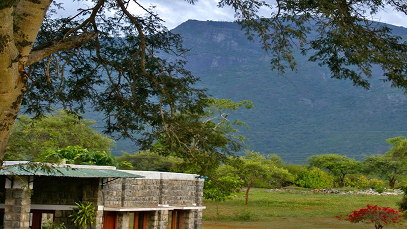 Nature retreat surrounded by green trees with a scenic mountain rising in the background