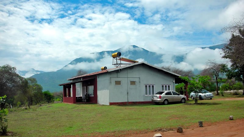 Wild Haven Resort, Masinagudi