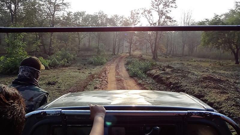 jeep ride