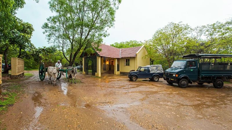 Cottage entrance surrounded by trees with parked jeeps and a traditional bullock cart
