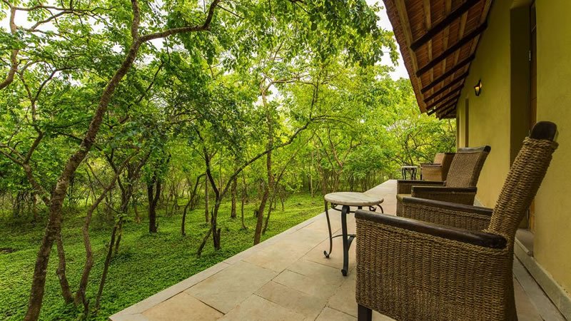 Private cottage veranda with wicker chairs overlooking lush green forest