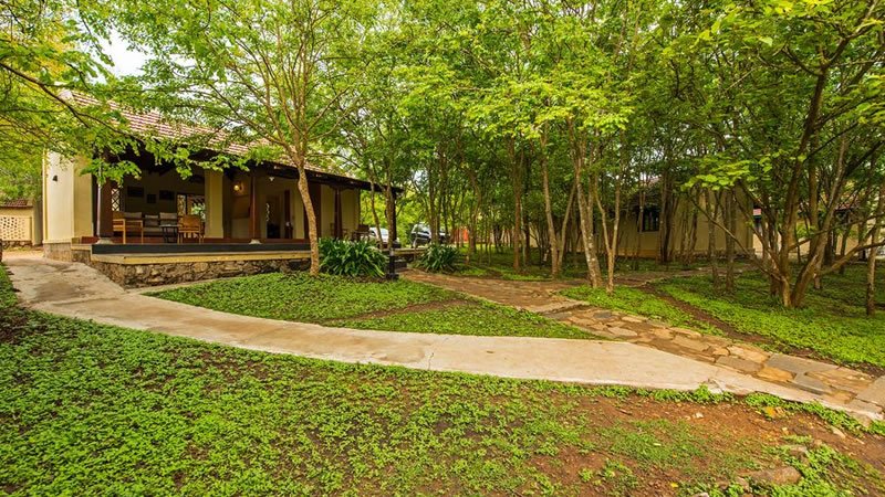 Cottages surrounded by dense trees and greenery in a peaceful natural setting